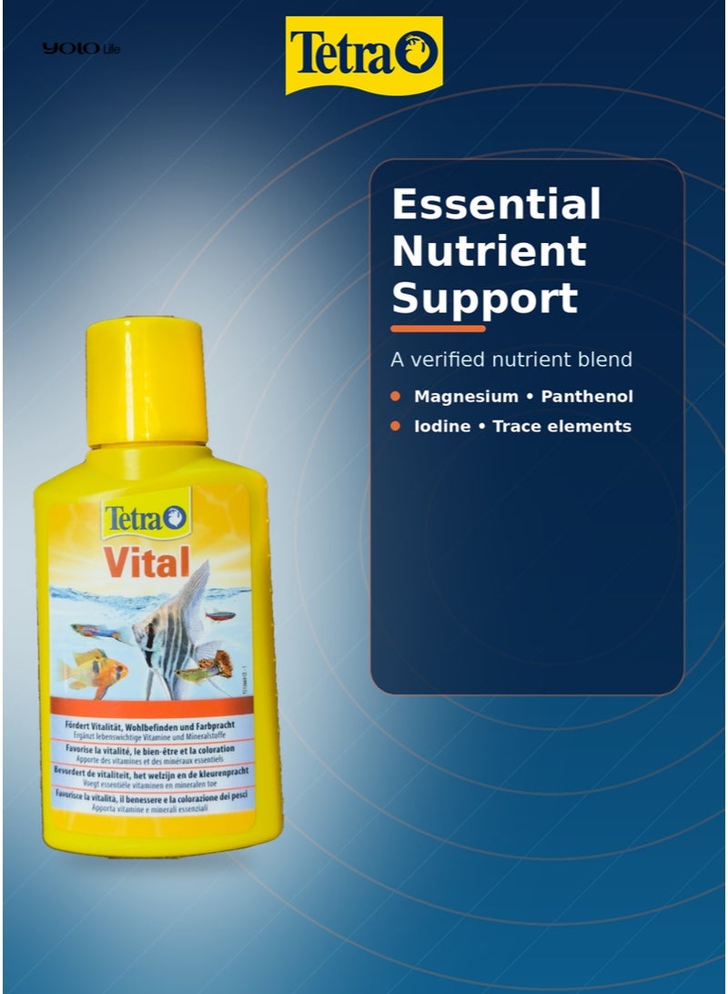 تترا Tetra Vital 100 مل مكمل فيتامينات ومعادن لحوض السمك، فيتامينات B والمغنيسيوم واليود لأسماك المياه العذبة، يعزز الحيوية واللون الطبيعي وجاهزية التكاثر - Image 5