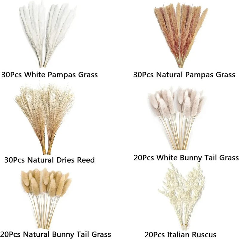 Y&D G43 Pampas Grass Bouquet, 80pcs Natural Dried Phragmites Flowers for Wedding Home Decor, Valentine's Day Christmas Dried Plants - Image 5
