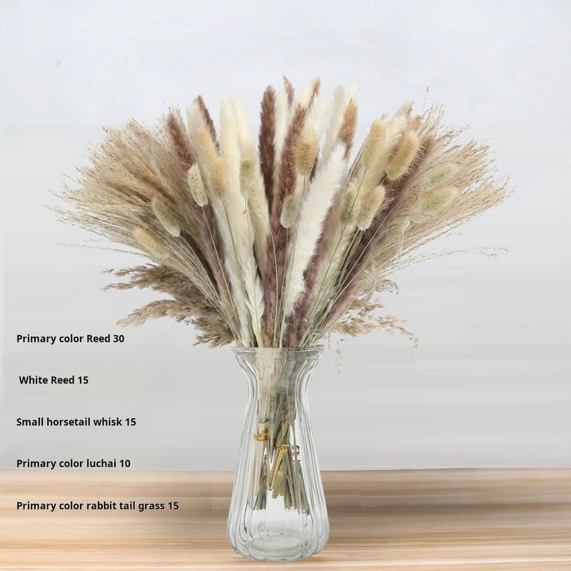 Y&D G43 Pampas Grass Bouquet, 80pcs Natural Dried Phragmites Flowers for Wedding Home Decor, Valentine's Day Christmas Dried Plants - Image 1