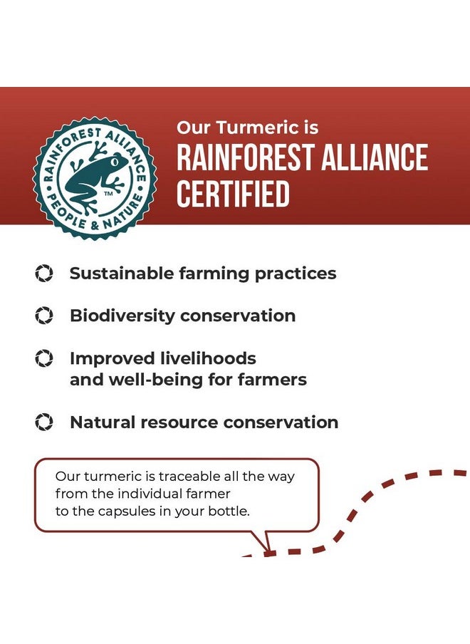 Balance ONE - Turmeric Extract 1000Mg Ethically Sourced Turmeric Curcumin Standardized To 95% Curcuminoids Ginger Extract And Bioperine Vegan Nongmo 30 Day Supply - Image 1