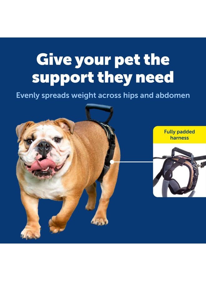 PetSafe CareLift Rear Support Harness - Lifting Aid with Handle and Shoulder Strap - Fits Waist Measuring 19-31 inches, Dog Weight 35lb-70lb, Medium, Black - Image 3