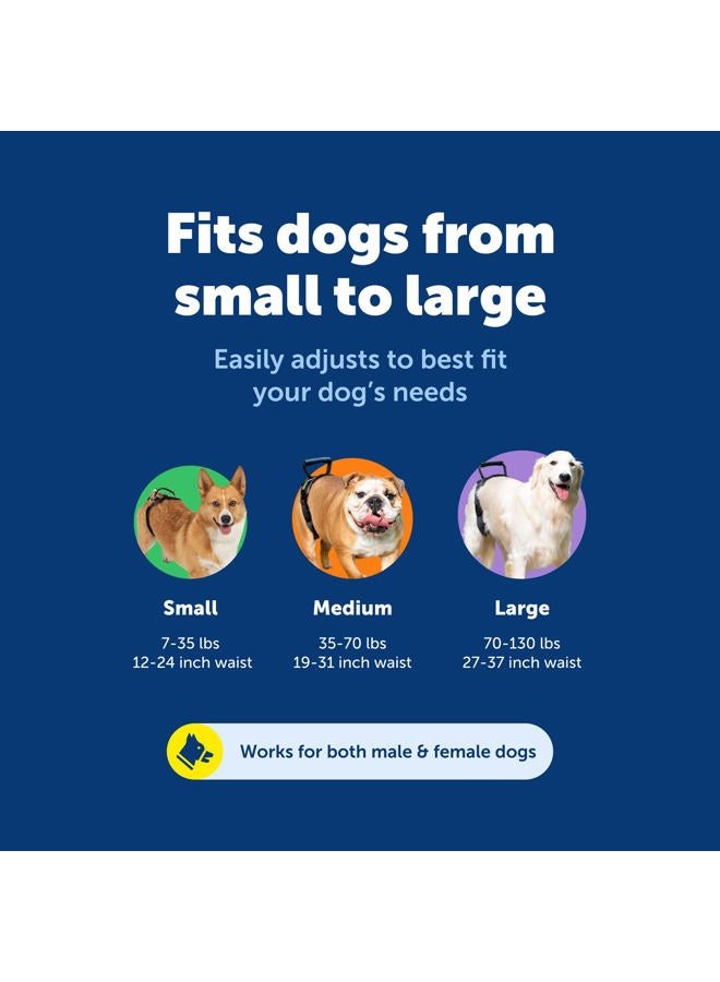 PetSafe CareLift Rear Support Harness - Lifting Aid with Handle and Shoulder Strap - Fits Waist Measuring 19-31 inches, Dog Weight 35lb-70lb, Medium, Black - Image 5