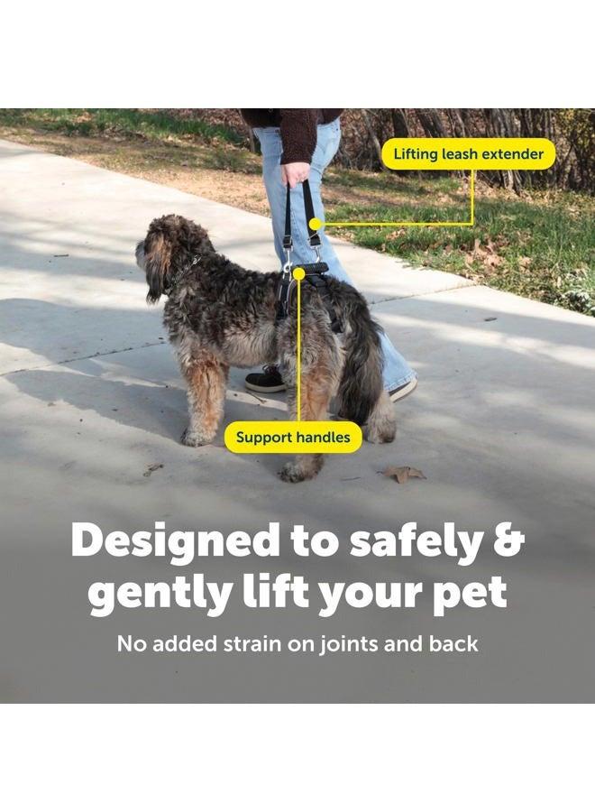 PetSafe CareLift Rear Support Harness - Lifting Aid with Handle and Shoulder Strap - Fits Waist Measuring 19-31 inches, Dog Weight 35lb-70lb, Medium, Black - Image 4