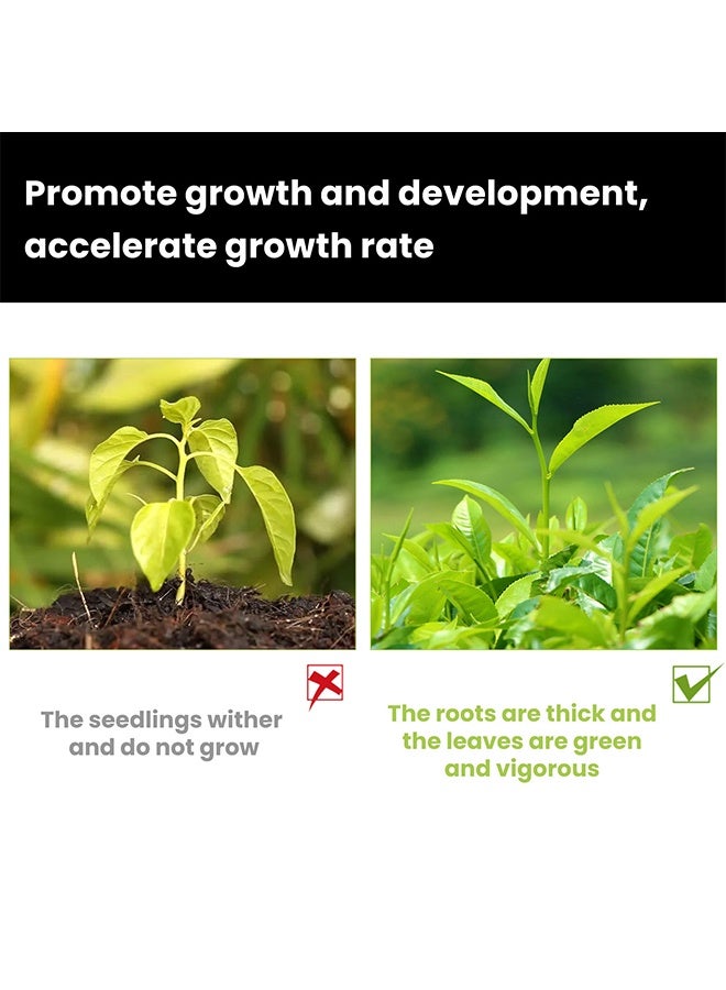 مونسبري محلول تنشيط النباتات، معزز إحياء ونمو النباتات، سماد سائل للشتلات، هرمونات التجذير للعُقل، مكمل نمو النباتات، سماد سائل للشتلات والعُقل، 50 مل - Image 4