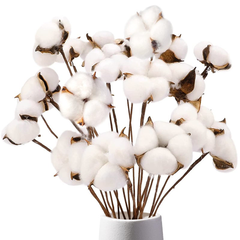 DomeStar Cotton Stems 8 Packs with 15 Bolls, Natural Dried Flowers Cotton Sprigs for Vase Fillers and Floral Arrangements - Fall Decorations and DIY Crafts - Image 1