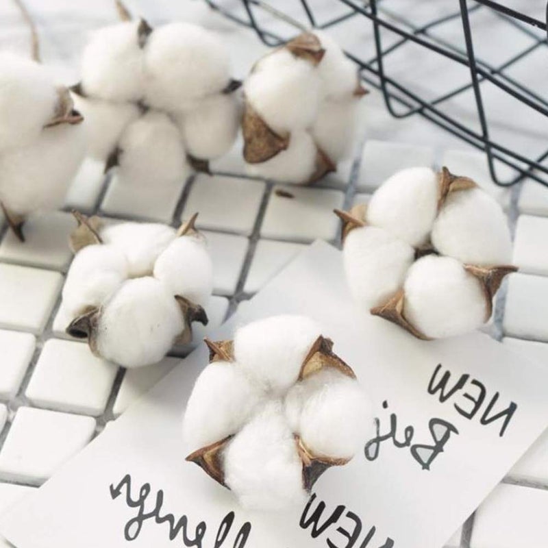 DomeStar Cotton Stems 8 Packs with 15 Bolls, Natural Dried Flowers Cotton Sprigs for Vase Fillers and Floral Arrangements - Fall Decorations and DIY Crafts - Image 4