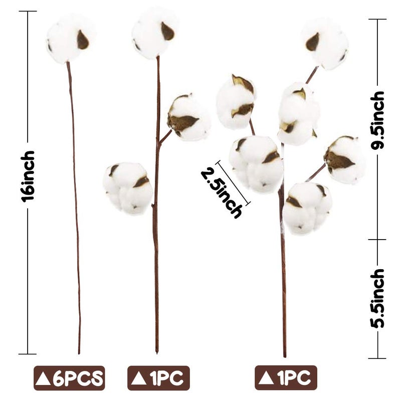 DomeStar Cotton Stems 8 Packs with 15 Bolls, Natural Dried Flowers Cotton Sprigs for Vase Fillers and Floral Arrangements - Fall Decorations and DIY Crafts - Image 2