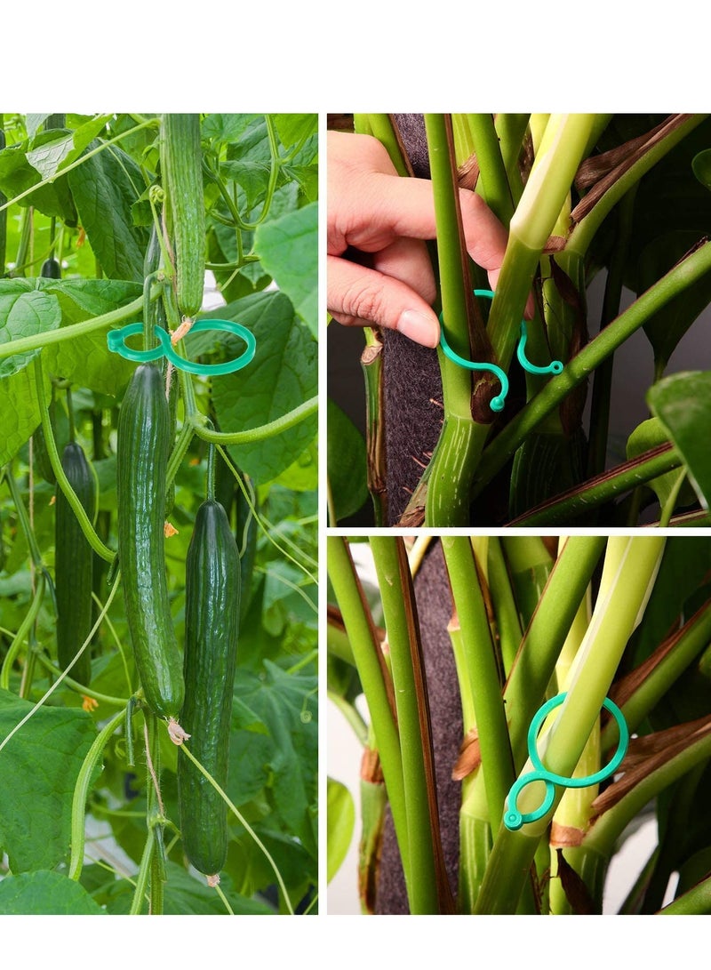 Barakah Flower Locks Plant Support Clips, 100PCS Garden Tomato Clips Vegetables Vine for Securing Climbing Plants, Green - Image 4