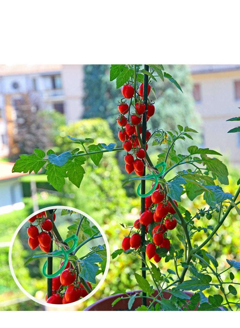 Barakah Flower Locks Plant Support Clips, 100PCS Garden Tomato Clips Vegetables Vine for Securing Climbing Plants, Green - Image 2