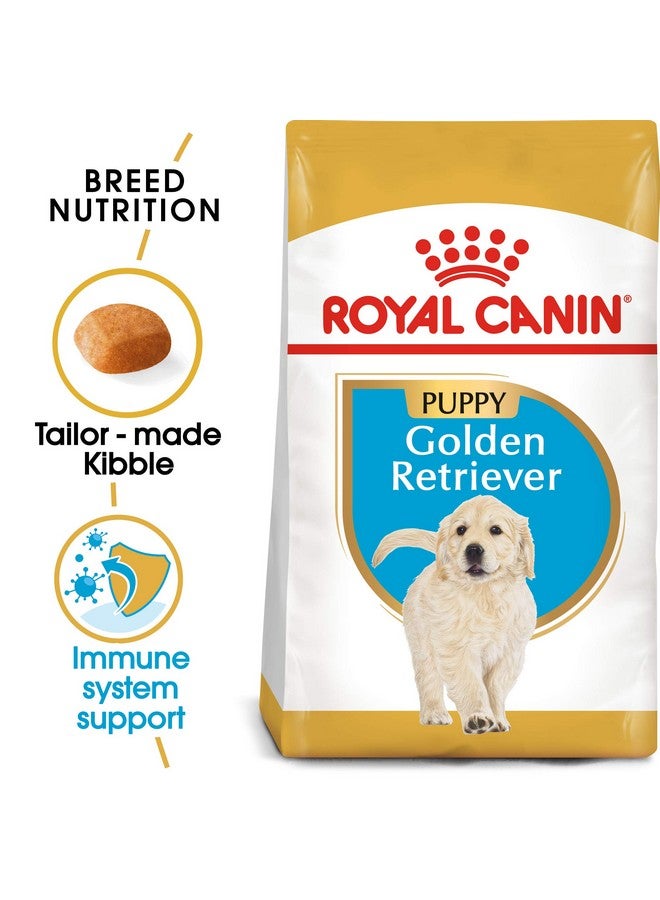 ROYAL CANIN Golden Retriver Junior Pellet Dog Food, Meat Flavor, 3 Kg - Image 2
