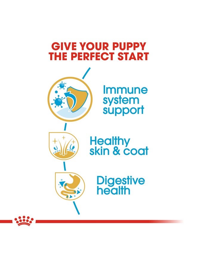 ROYAL CANIN Golden Retriver Junior Pellet Dog Food, Meat Flavor, 3 Kg - Image 4