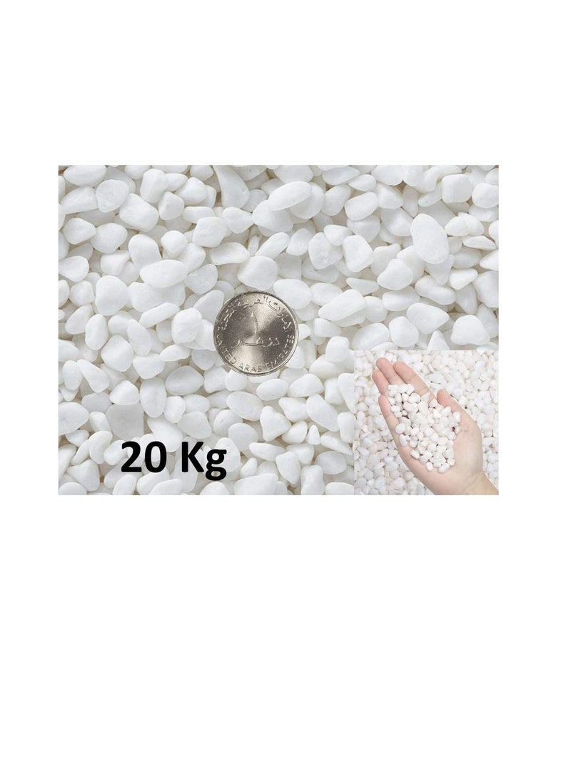 Generic - Decorative Stone Small Pebbles Decorative River Rock Stones - Natural White Color Stones Use in Glassware, Like Vases, Aquariums and Terrariums to Enhance the Appearance… (Pack of 20 KG) - Image 1