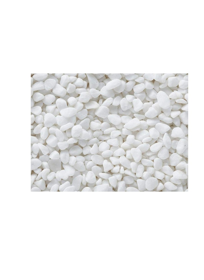 Generic - Decorative Stone Small Pebbles Decorative River Rock Stones - Natural White Color Stones Use in Glassware, Like Vases, Aquariums and Terrariums to Enhance the Appearance… (Pack of 20 KG) - Image 1