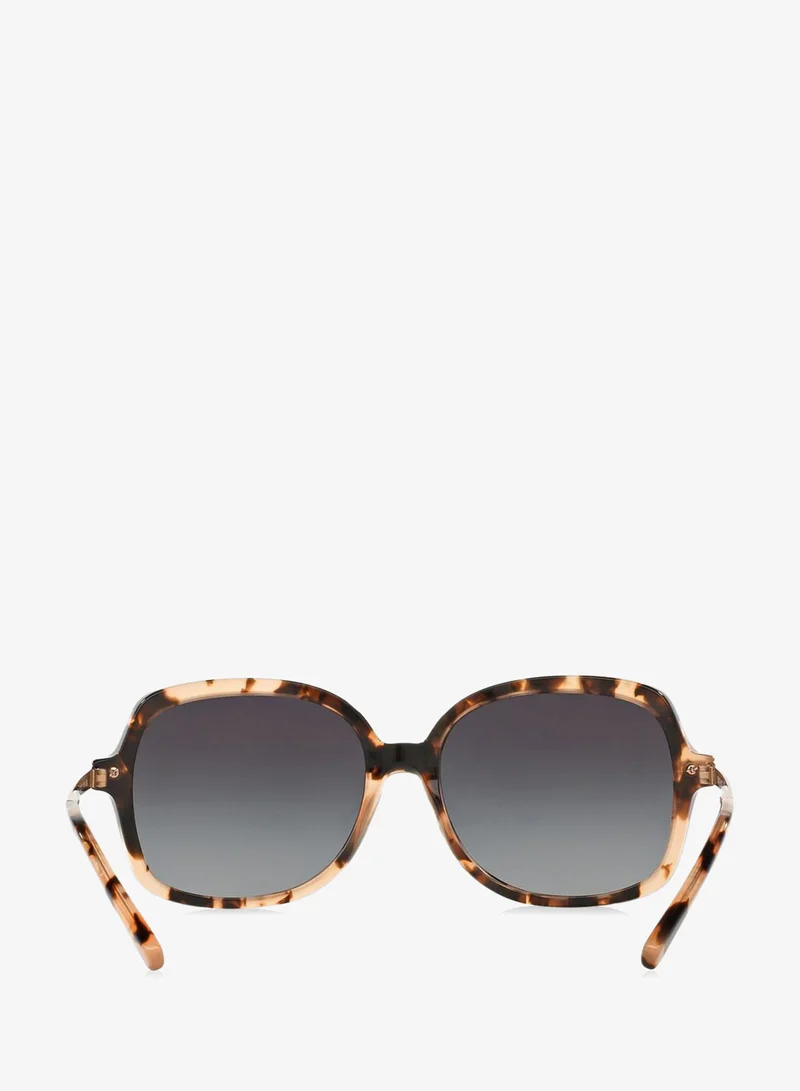 Michael Kors  0MK2024 Oversize Sunglasses for Women | Best Price UAE