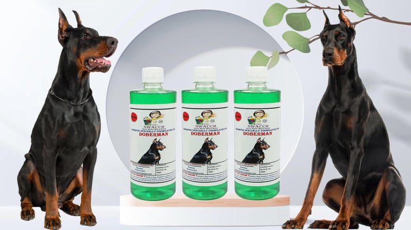 Swacch Shampoo Specially Formulated for Doberman (500ML) (Pack of 3) Neem Alovera - Image 2