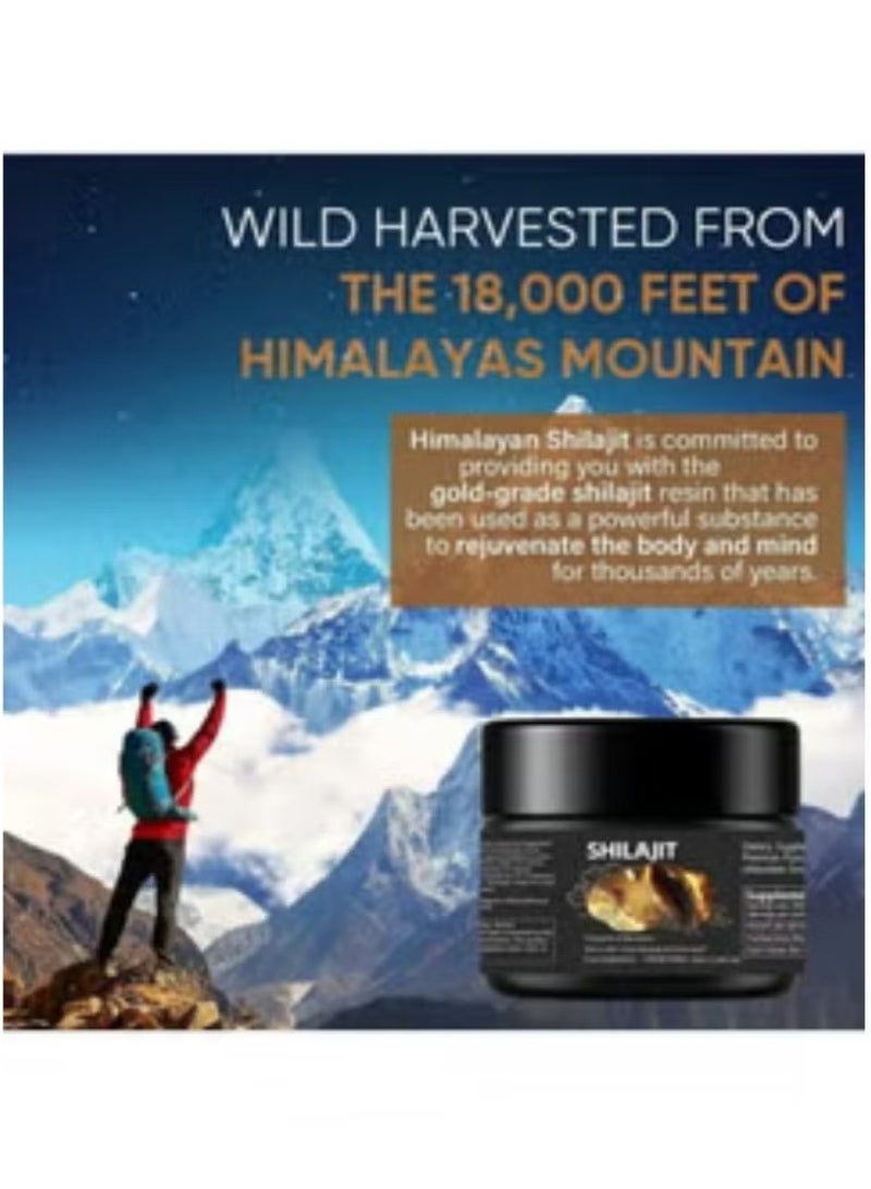 Shilajit RX Pure Himalayan Shilajit Resin High Potency Gold Grade for Men & Women| 75 Servings for Energy Boost & Immune Support, 85+ Trace Minerals, 75%+ Fulvic Acid 250mg - Image 2