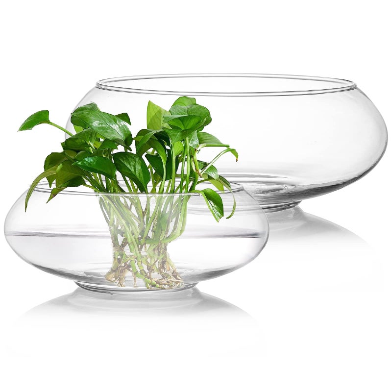 ZENFUN 2 Pack Glass Vase Bowl 6 8 Wide Mouth Flower Vase Round Terrarium Glass Hydroponic Planter Floral Container Clear Fish Bowl for Table Centerpiece Wedding Event Home Decoration
