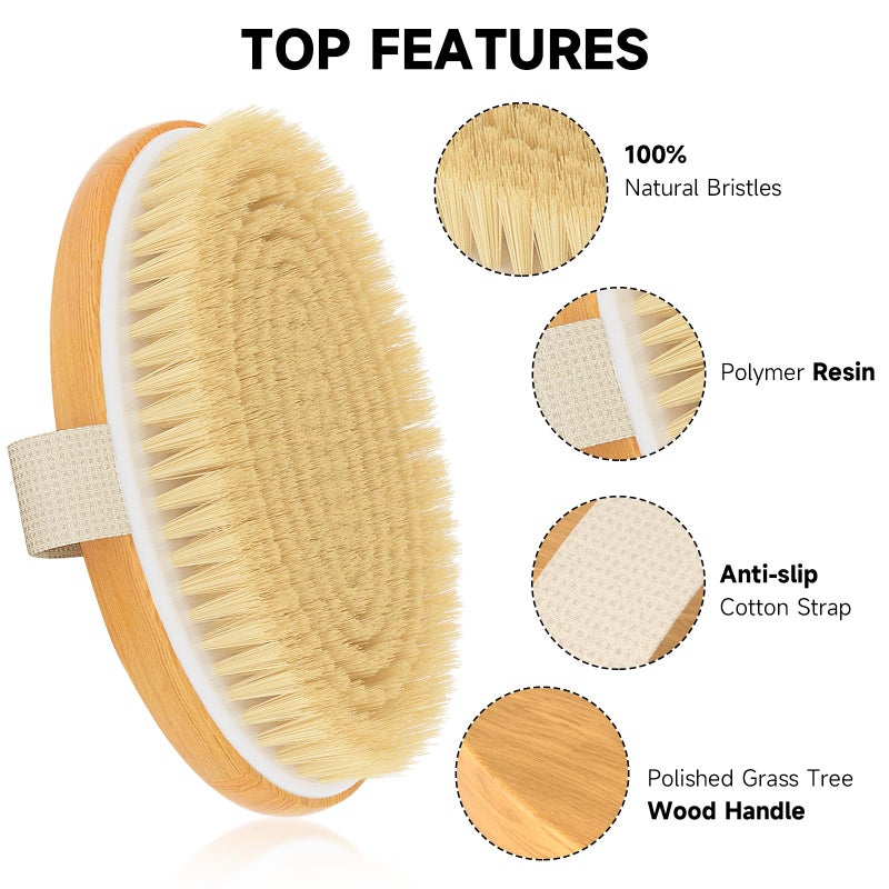 Metene Dry Brushing Body Brush, Exfoliating Body Scrubbers, Natural Bristles for Dry Skin, Improve Circulation, Stop Ingrown Hairs, Reduce Acne and Cellulite - Image 3