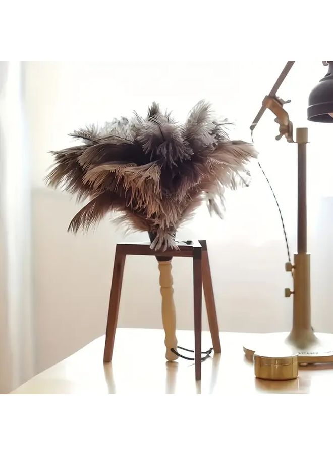 Ostrich Feather Duster With Wooden Handle Soft For Home Car 1pc - Image 4