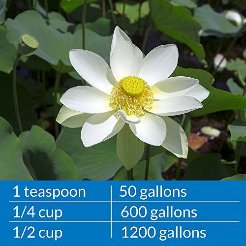 API PONDCARE MICROBIAL ALGAE CLEAN Green Water Biological Inhibitor (269D) 64-Ounce - Image 5
