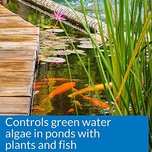 API PONDCARE MICROBIAL ALGAE CLEAN Green Water Biological Inhibitor (269D) 64-Ounce - Image 3