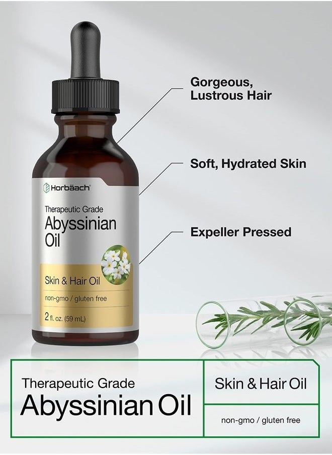 Horbäach Abyssinian Oil 4 fl oz | Hair and Skin Oil | 2 Pack of 2oz | Paraben, SLS and Fragrance Free | from Crambe Abyssinica Seed | By Horbaach 