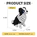 KADELE Cute Dog Building Animal Sets Extremely Challenging STEM Building Blocks Decor for Adults Kids Micro 3D Educational Toys for Boys Girls Ages 8 and UpBorder Collie - Image 4
