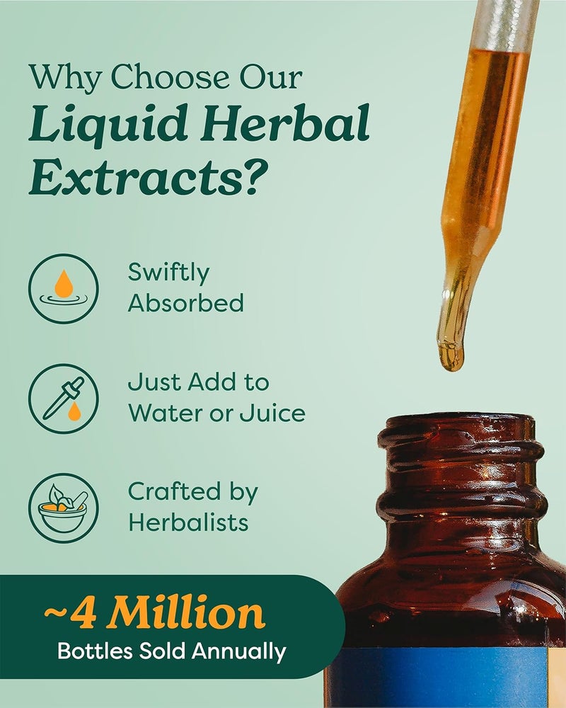 Herb Pharm Certified Organic Skullcap Liquid Extract for Nervous System Support Organic Cane Alcohol 1 Ounce - Image 3