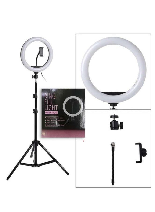 10 Inch LED Ring Light Video Conference Lighting - Image 1