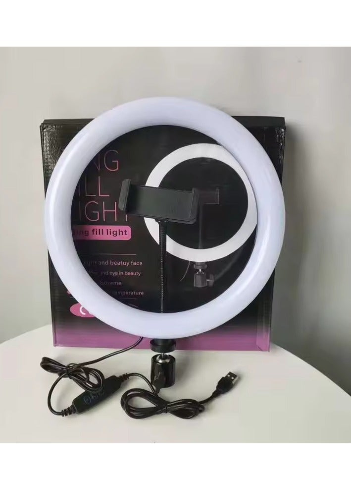 10 Inch LED Ring Light Video Conference Lighting - Image 3