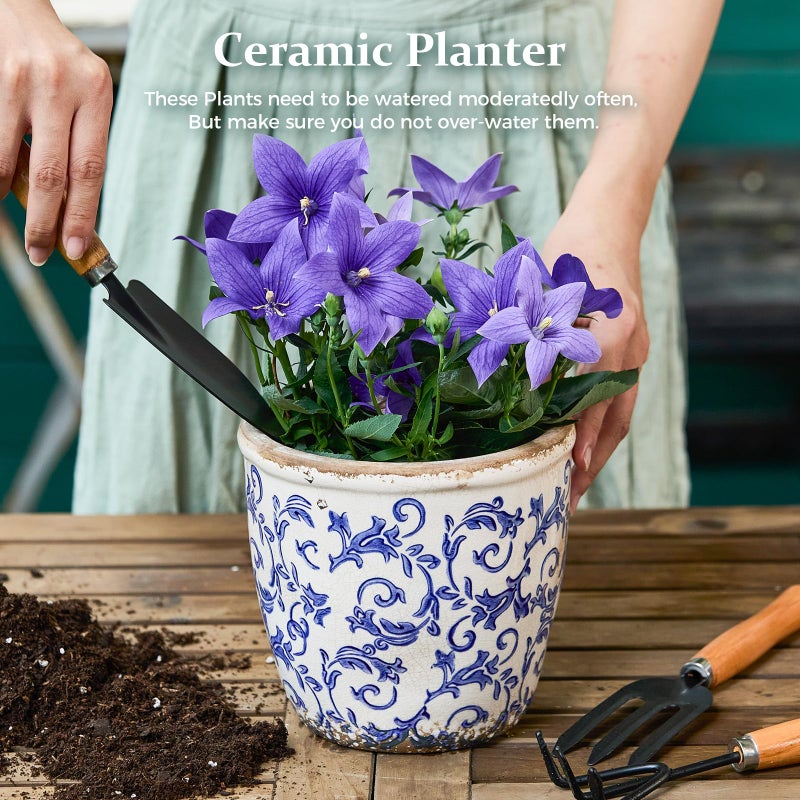 Teweiqi Vintage Ceramic Planter with Drainage Hole, Plastic Tray & Mesh, 6.5 Inch - Indoor/Outdoor Flower Pot, Blue Floral Rustic Farmhouse Design Plant pot for Home, Office & Garden DÃ©cor, Ideal Gift - Image 2