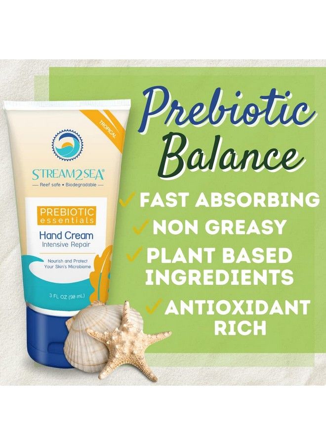 STREAM 2 SEA كريم يد مكثف للإصلاح الاستوائي أساسيات بروبيوتيك | كريم يد مرطب غني بمضادات الأكسدة وآمن للشعاب المرجانية وطبيعي وخالي من البارابين | 3 أونصة سائلة من ستريم2سي - Image 4
