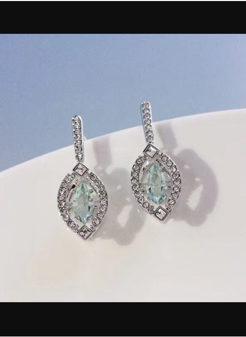 Sparkling Earrings