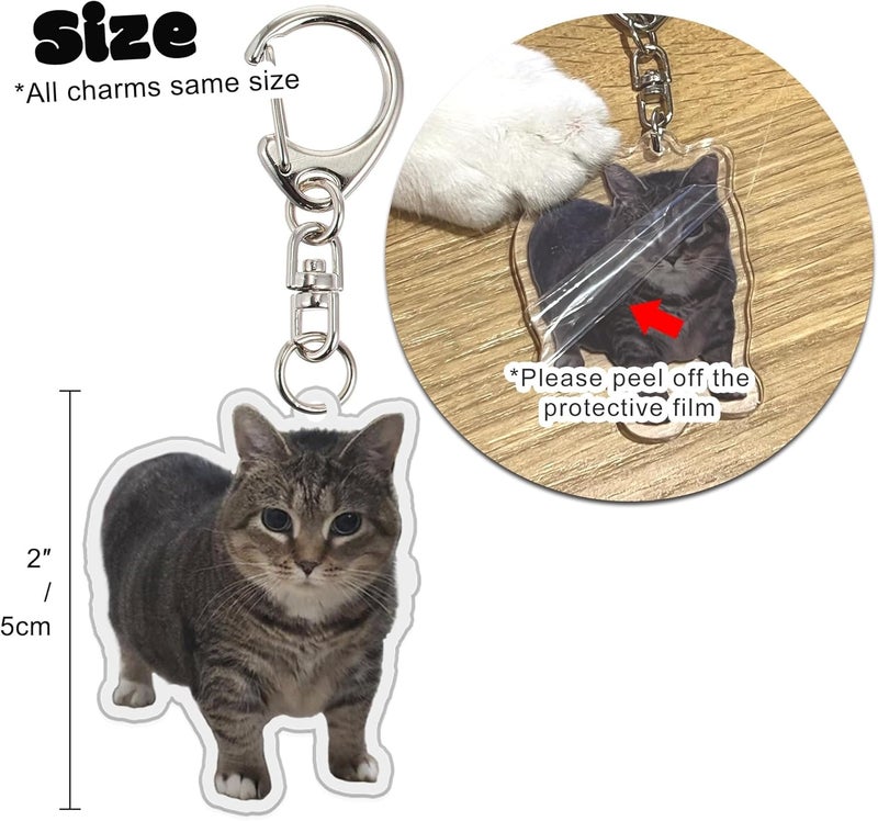 KASTWAVE 8Pcs Cute Cat Keychains, Meme Cat Keychains, Funny Cat Keychains, Keyring with Pendants Key Chains Hanging Pendants for Backpack, Bag, Multiple Kawaii Charm Funny Keychain - Image 4