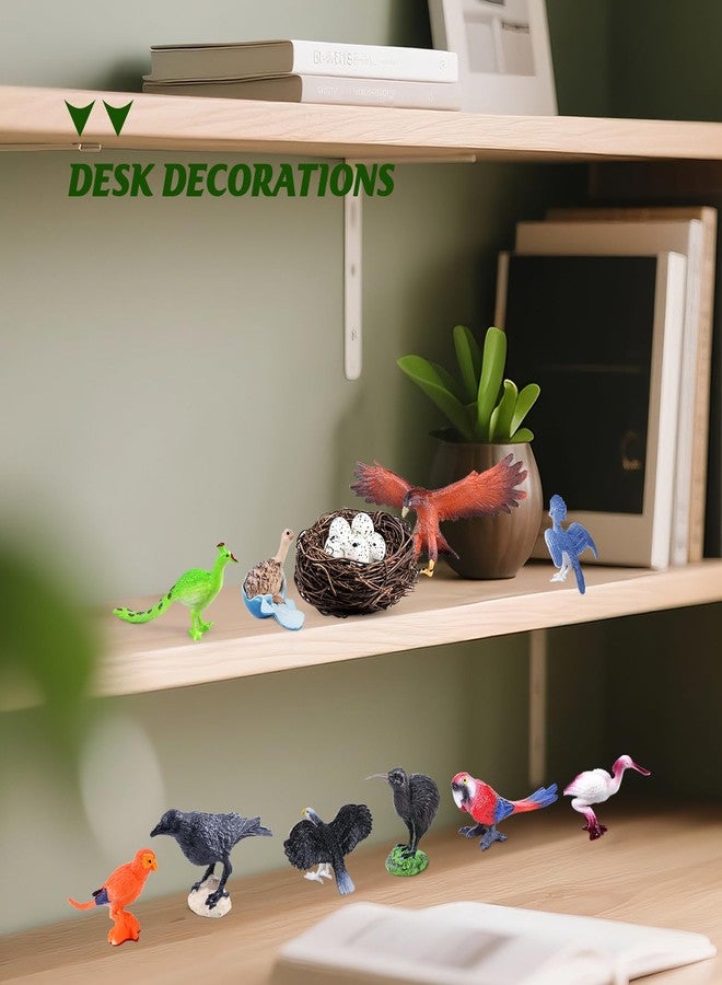 SIENON 23Pcs Bird Figurines Set, Assorted Bird Wildlife School Project with Nest, Raven, Kiwi, Ostrich, Macaw, Golden Eagle Toy Figures for Kids Educational Birthday Cake Décor Garden Accessories - Image 4