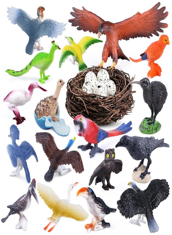 SIENON 23Pcs Bird Figurines Set, Assorted Bird Wildlife School Project with Nest, Raven, Kiwi, Ostrich, Macaw, Golden Eagle Toy Figures for Kids Educational Birthday Cake Décor Garden Accessories - Image 1