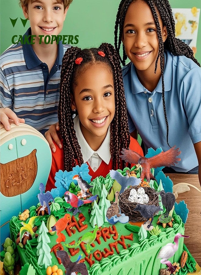 SIENON 23Pcs Bird Figurines Set, Assorted Bird Wildlife School Project with Nest, Raven, Kiwi, Ostrich, Macaw, Golden Eagle Toy Figures for Kids Educational Birthday Cake Décor Garden Accessories - Image 5