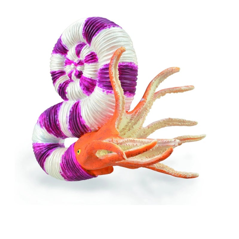 Collecta - Pravitoceras Cuttlefish - 88927