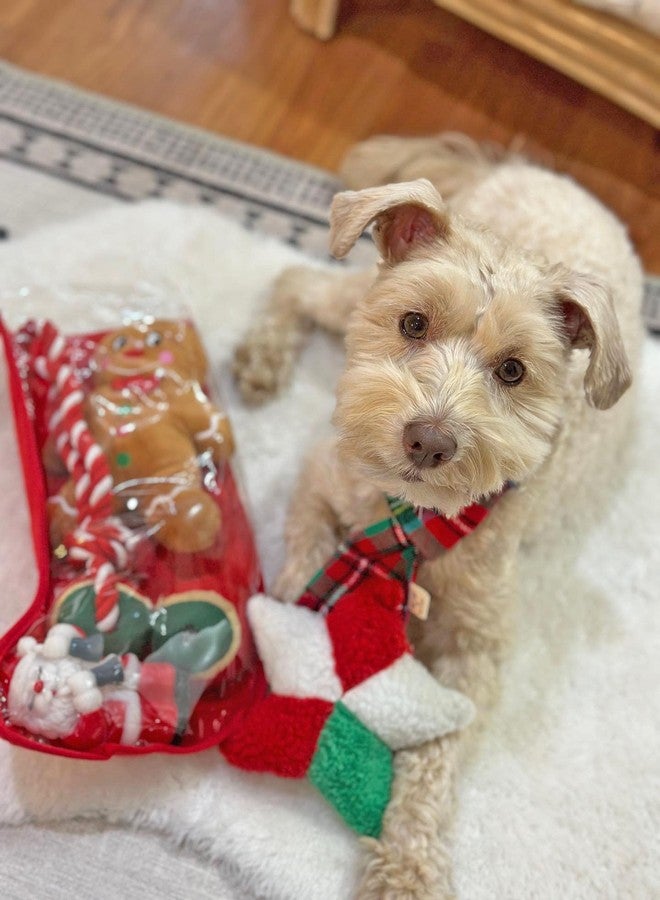 Midlee Toy Filled Christmas Dog Stocking Gift Set (14")- Squeaky Plush Ball Rope Holiday Pet Present - Image 4