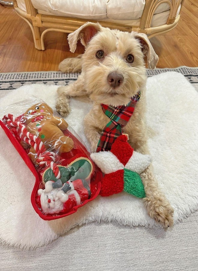 Midlee Toy Filled Christmas Dog Stocking Gift Set (14")- Squeaky Plush Ball Rope Holiday Pet Present - Image 2