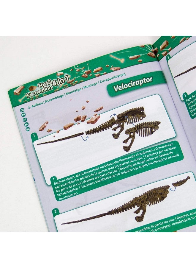 ساينس 4 يو مجموعة حفريات الديناصورات 4 في 1 مجموعة حفر أحفورية للأطفال بناء 4 حفريات ديناصورات 46 قطعة مجموعة آثار مجموعة صيد ألعاب الديناصورات للأولاد والبنات من سن 6 سنوات فما فوق - Image 5