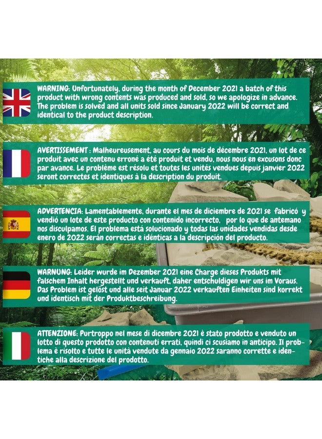 ساينس 4 يو مجموعة حفريات الديناصورات 4 في 1 مجموعة حفر أحفورية للأطفال بناء 4 حفريات ديناصورات 46 قطعة مجموعة آثار مجموعة صيد ألعاب الديناصورات للأولاد والبنات من سن 6 سنوات فما فوق - Image 2