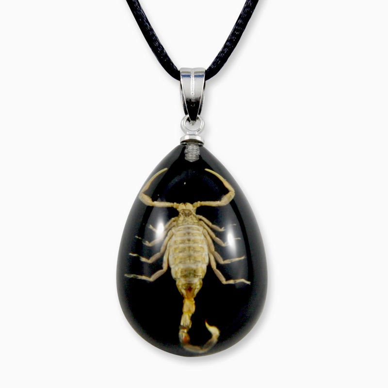REALBUG Gold Scorpion Necklace, Black, Small - Image 1
