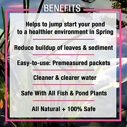 Microbe Lift MICROBE-LIFT 10XSSCX1 Spring and Summer Pond and Outdoor Water Garden Cleaner, Safe for Live Koi Fish, Plant Life, and Decor, 16 Ounces - Image 5