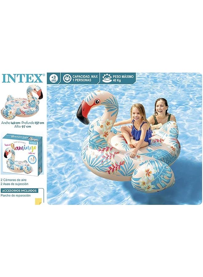 انتكس لعبة ركوب الفلامنجو الاستوائية على حمام السباحة