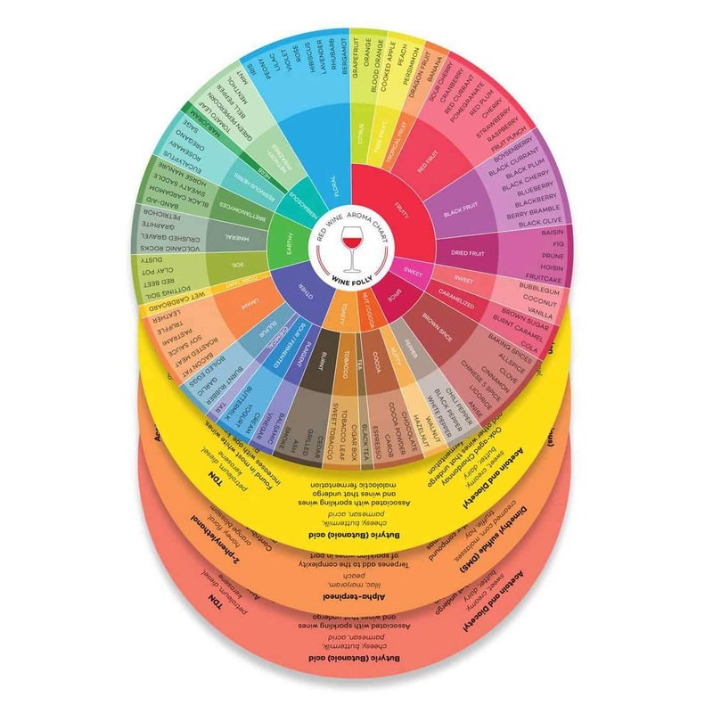 Wine Folly Wine Folly Wine Aroma Wheel Charts  4Pack for Red White Ros  Sparkling  Wine Tasting Guide with Aromatic Compound Info  Durable Glossy Educational Chart Set 