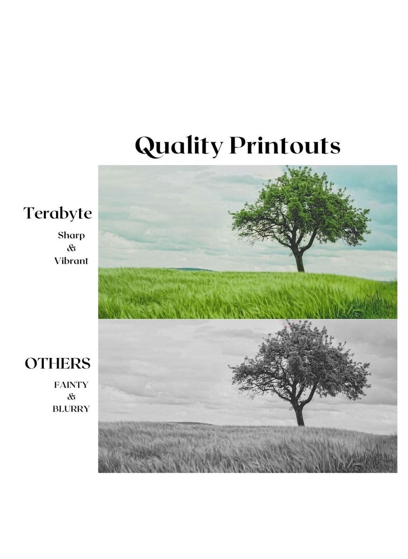 Terabyte CLT404S YELLOW SAMSUNG COMPATIBLE TONER TERABYTE  - Image 2