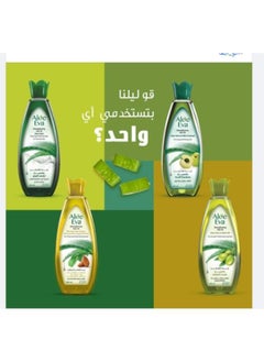 إيفا زيت الشعر بالصبار والاملا لتقوية الشعر ومنع التساقط 170مل  - Image 3