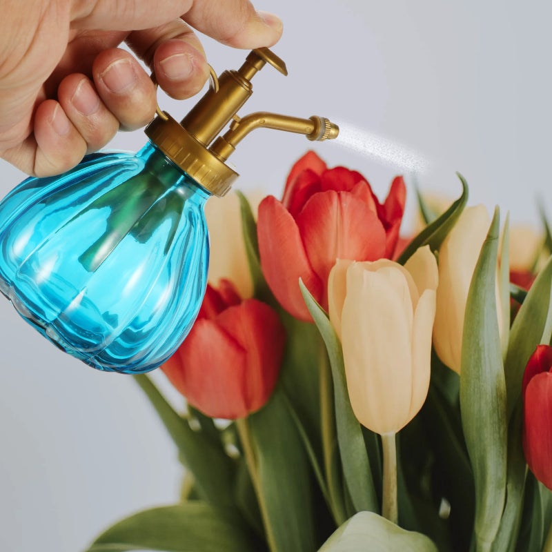 2pcs Glass Mini Watering Can Flower Water Spray Bottle Plant Watering Bottle - Image 2