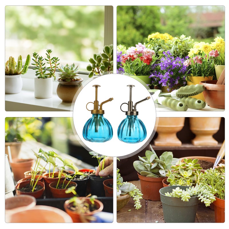 2pcs Glass Mini Watering Can Flower Water Spray Bottle Plant Watering Bottle - Image 5
